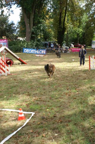 foire-haricots 2011-09-17et18